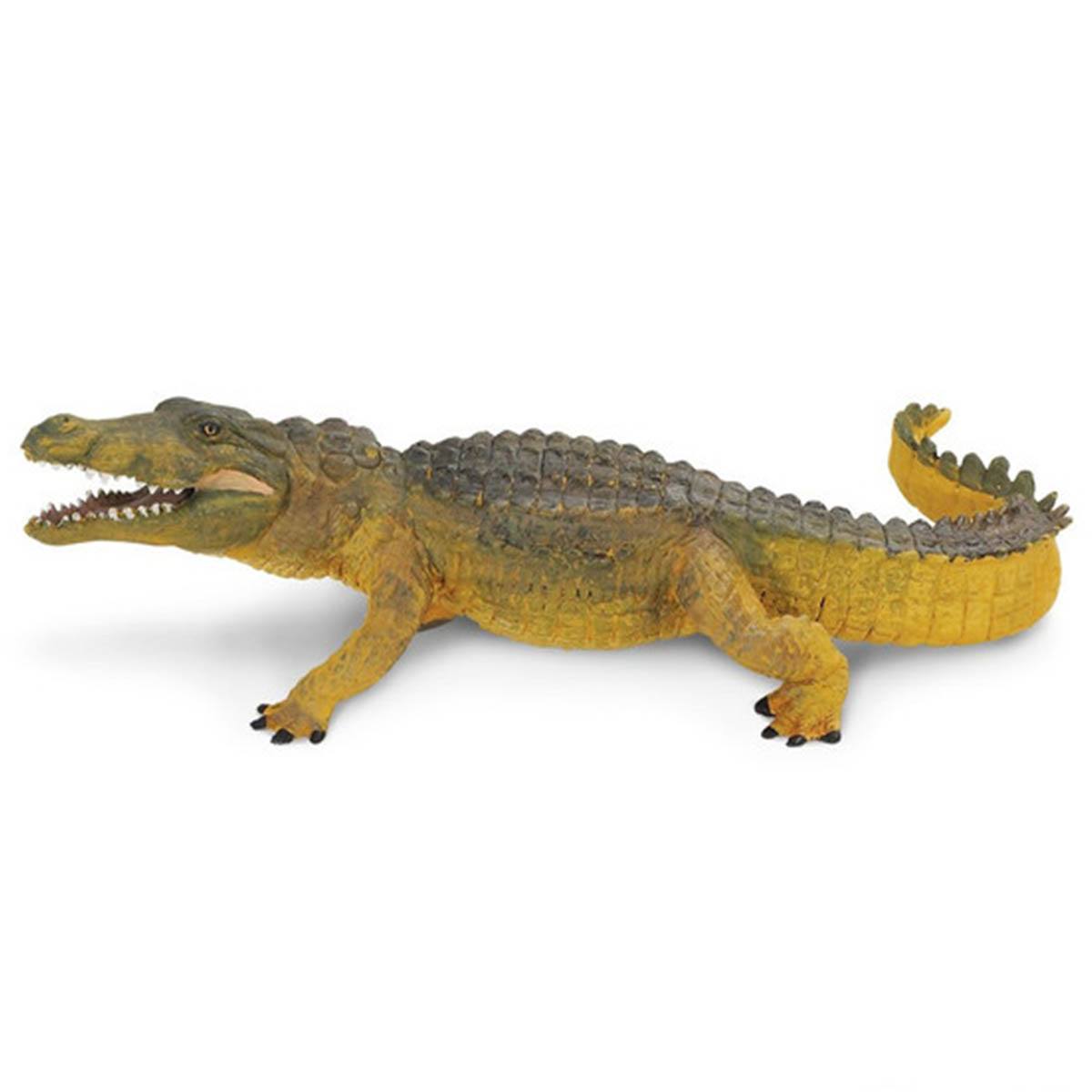 Crocodile Wildlife Safari Ltd - Premium Crocodile-Themed Adventure Gear & Apparel for Outdoor Enthusiasts | Perfect for Safari Tours, Wildlife Photography & Nature Exploration