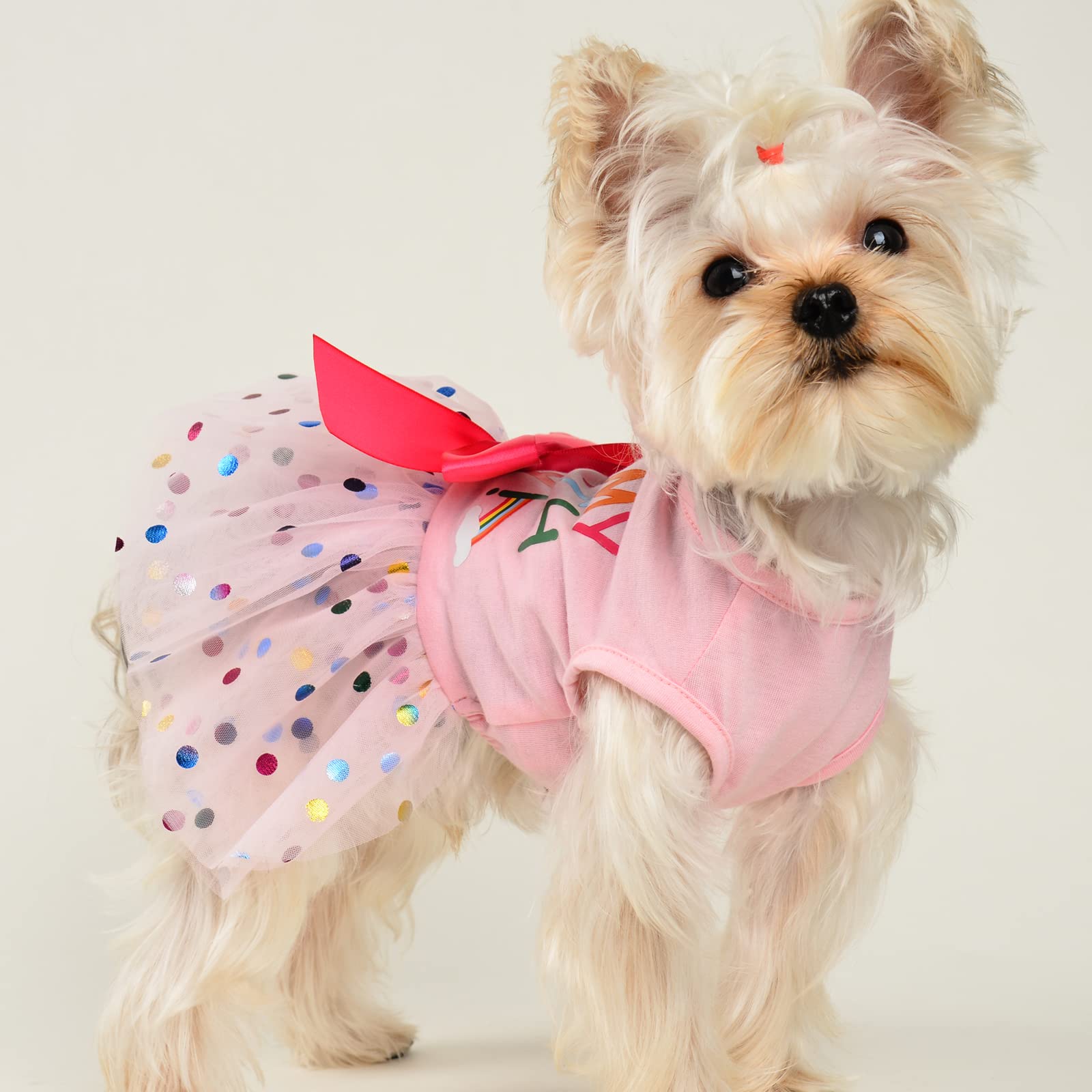 Pink Summer Dog Dress for Small Dogs - Birthday Outfit for Chihuahua, Yorkie & Puppies | Cute Pet Costume for Cats & Dogs | Perfect for Parties, Photos & Special Occasions