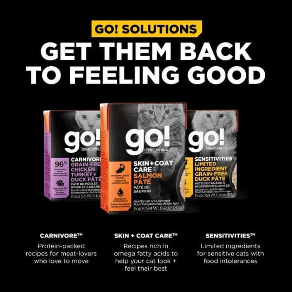 Premium Go! Solutions Skin & Coat Care Salmon Pate Wet Cat Food - Grain-Free, Omega-Rich Formula for Healthy Fur & Skin - Perfect for Adult Cats with Sensitive Skin or Allergies