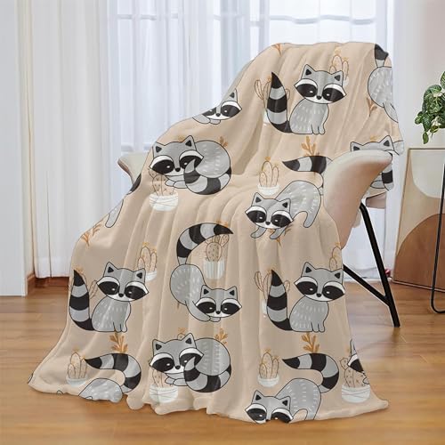 Cute Cartoon Racoons