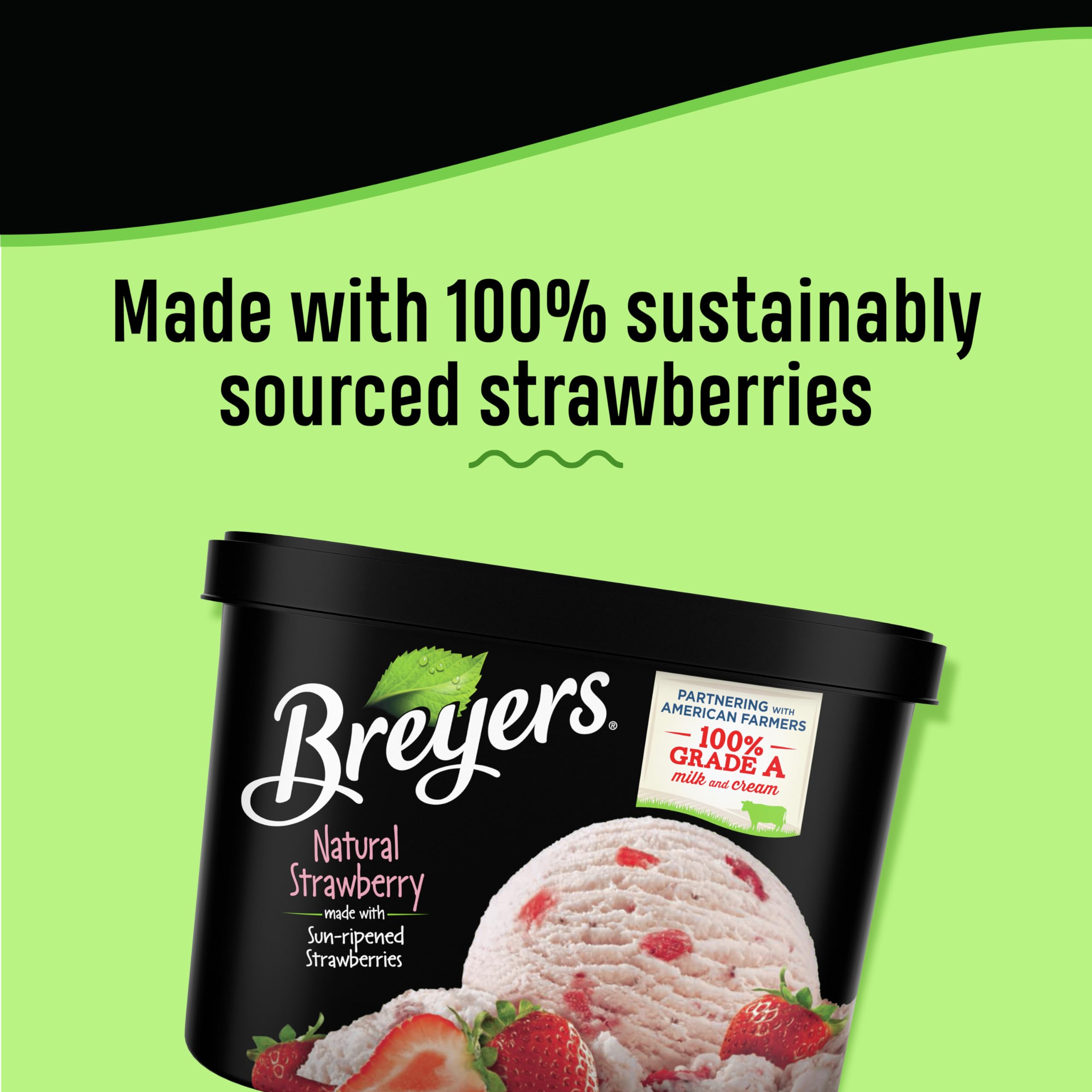 Breyers Natural Strawberry Ice Cream - 48 oz Tub, Made with 100% Grade A Milk & Cream | Rich & Creamy Frozen Dessert for Parties, Family Gatherings & Summer Treats