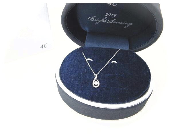 4℃ Diamond PT850 Necklace for Women - 18K White Gold Pendant with Genuine Diamonds, Elegant Gift for Anniversary, Valentine's Day & Special Occasions