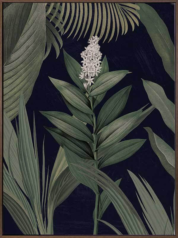 Dark Flora I Canvas Art Print - Modern Botanical Wall Decor for Living Room, Bedroom & Office - Perfect for Home & Office Decor