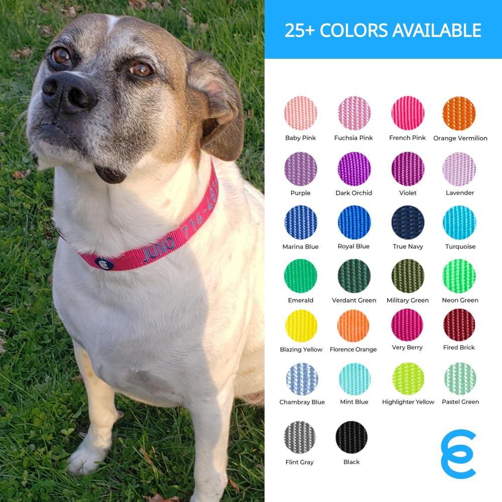 Personalized Dog Collars for Small Dogs - Adjustable Pet Collar with Custom Name & Phone Number Embroidery | Highlighter Yellow Small Dog Collar | Perfect for Daily Walks, Training & Identification