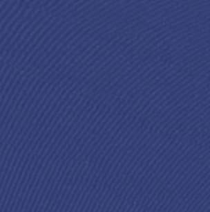 Navy Chusion With Navy Umbrella