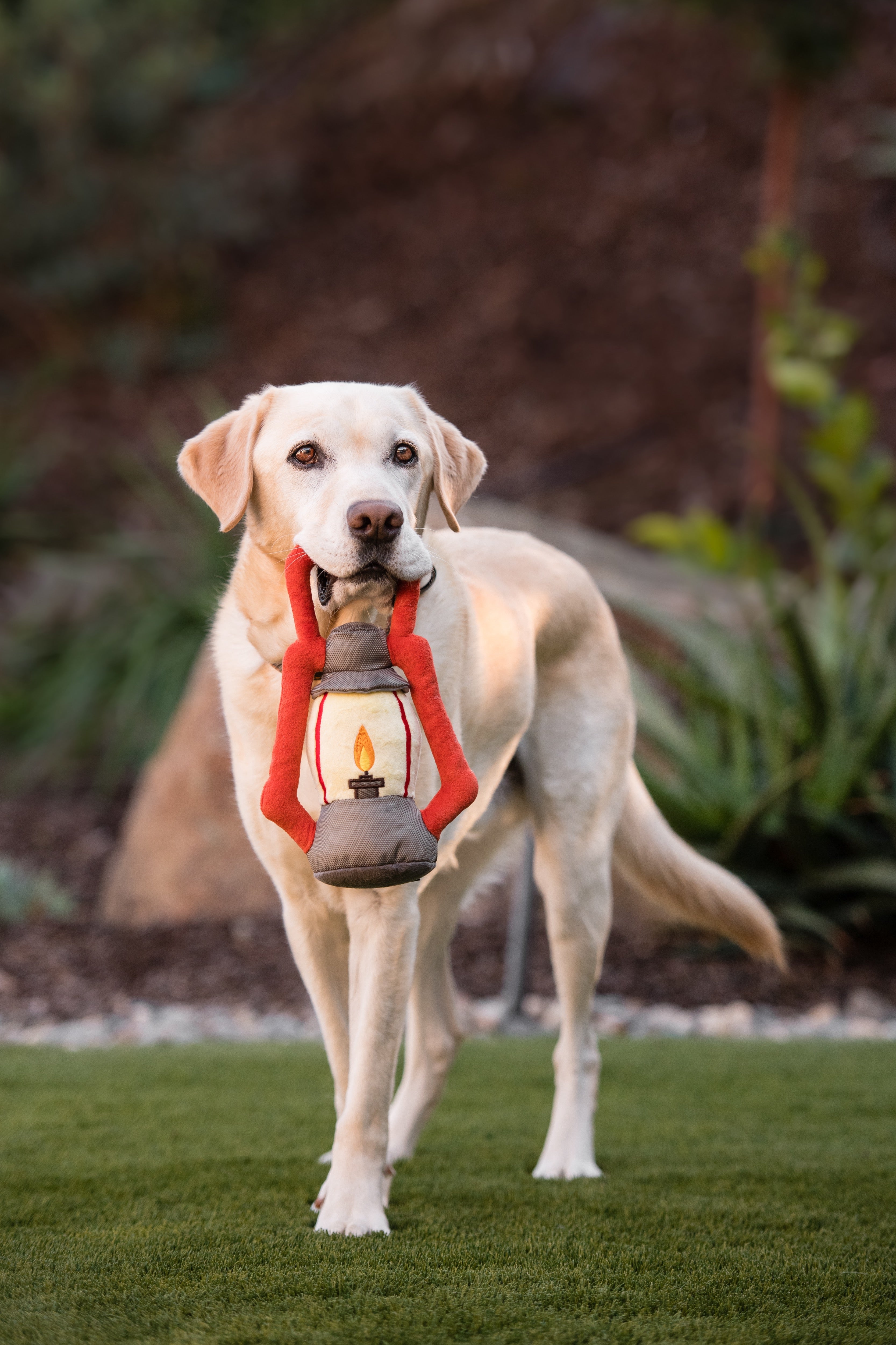 Camp Corbin™ Dog Plush Toy with Flashlight - Interactive Chew Toy for Small & Large Dogs - Perfect for Playtime, Training & Outdoor Adventures