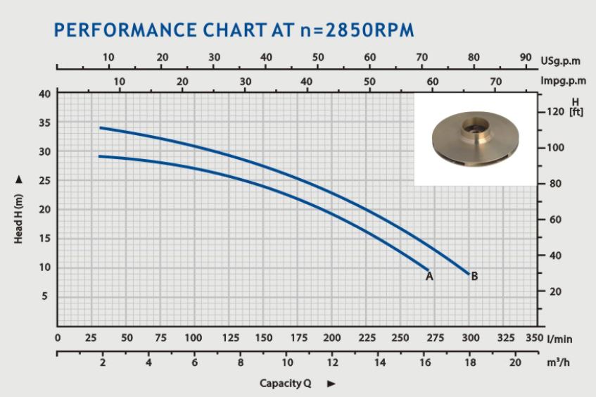 Aiko 1/2 x 1 2HP High Performance Water Pump | Model WP HCK 36 | Ideal for Home Irrigation, Aquariums & Small Farm Use