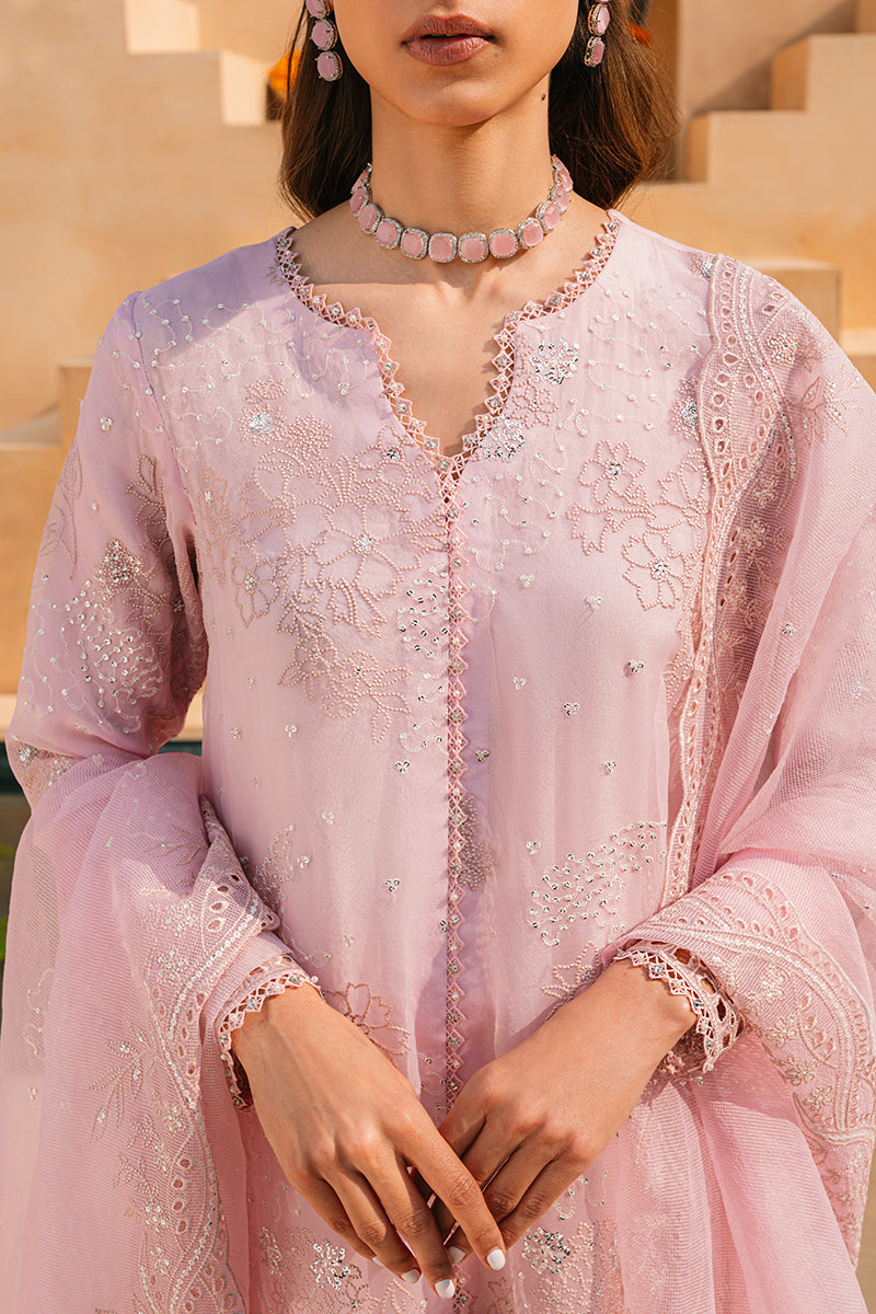 Elegant Muted Pink 2-Piece Organza Embroidered Suit Set for Women - Perfect for Weddings, Parties & Special Occasions