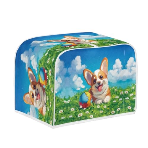 Cute Corgi Dog Ball Grassland