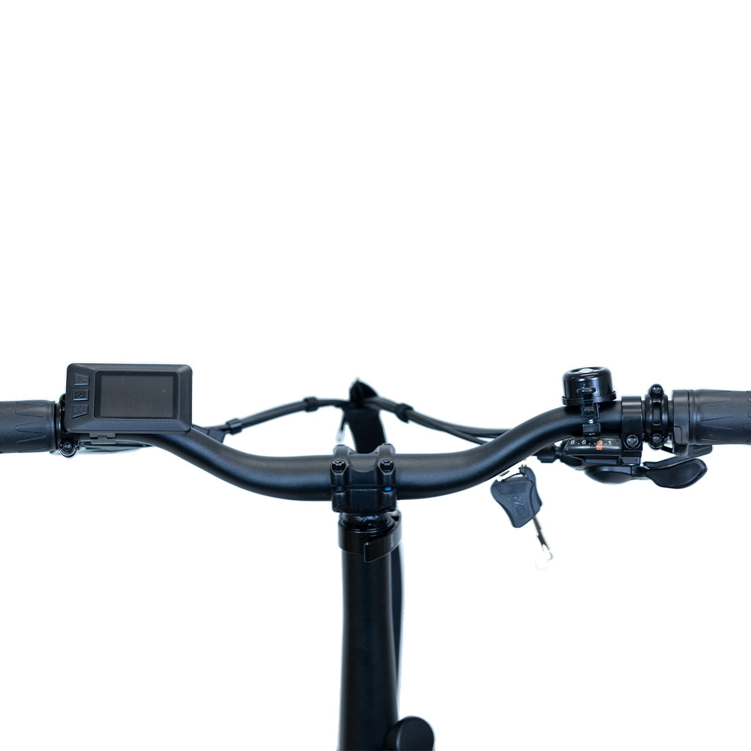 Synergy Triad 3-Wheel Adult Tricycle - Stable & Comfortable Cruiser Bike for Seniors & Adults - Perfect for Leisure Rides, Grocery Shopping & Outdoor Exercise