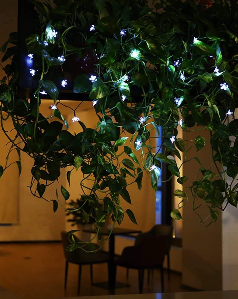 AMZSTAR® 50 LED Solar Flower String Lights - 21ft Outdoor/Indoor Waterproof Fairy Lights for Garden, Patio, Lawn, Wedding & Party Decorations (White) | Romantic Ambiance Lighting for Backyard, Balcony & Special Events