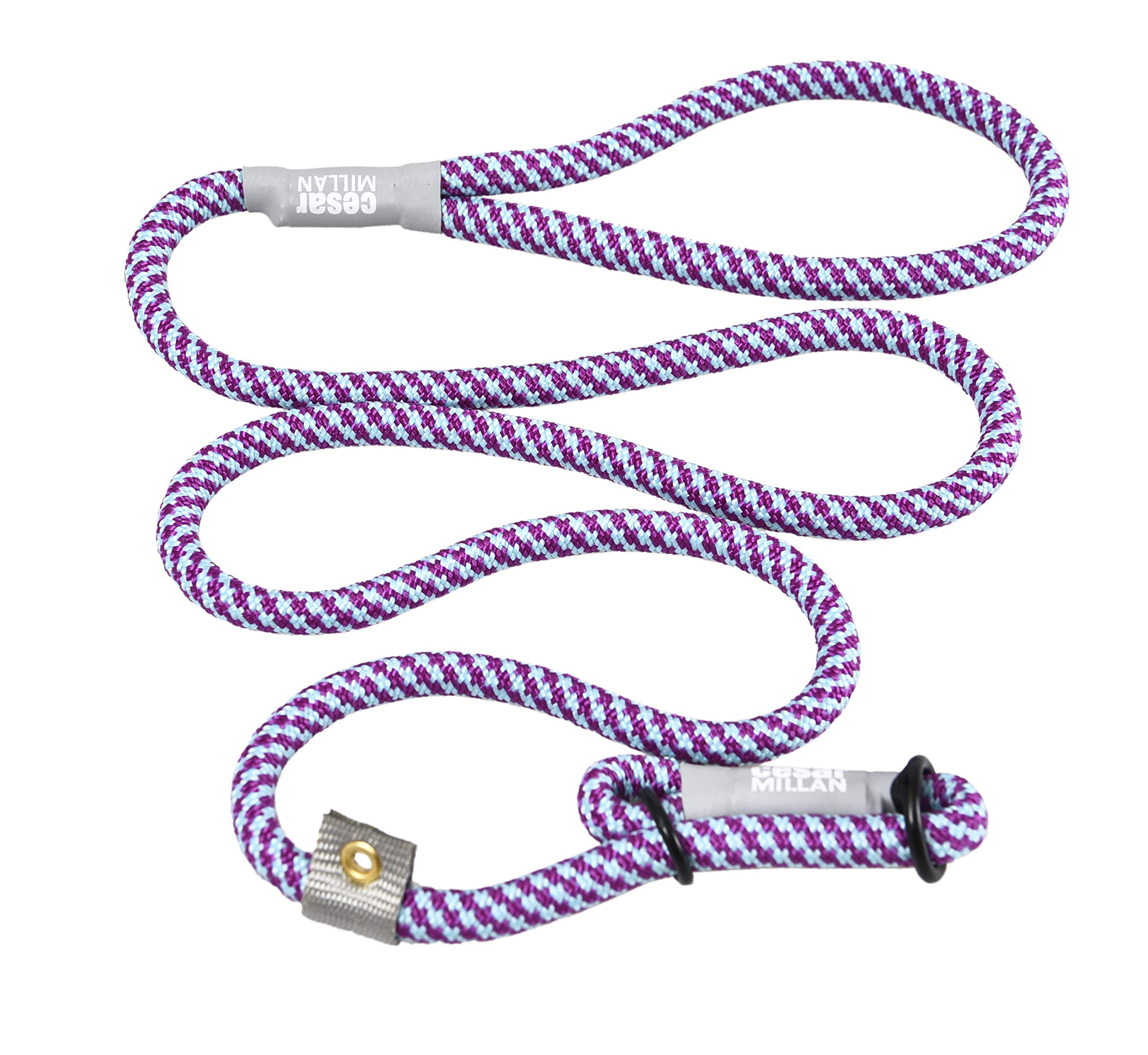 Cesar Millan Slip Lead Leash™ - Adjustable Dog Training Collar with Quick-Release for Gentle Control (Aqua/Purple, Regular) - Perfect for Obedience Training, Walks & Behavioral Correction