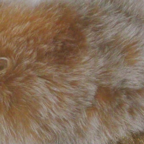 Camel Snow Top
