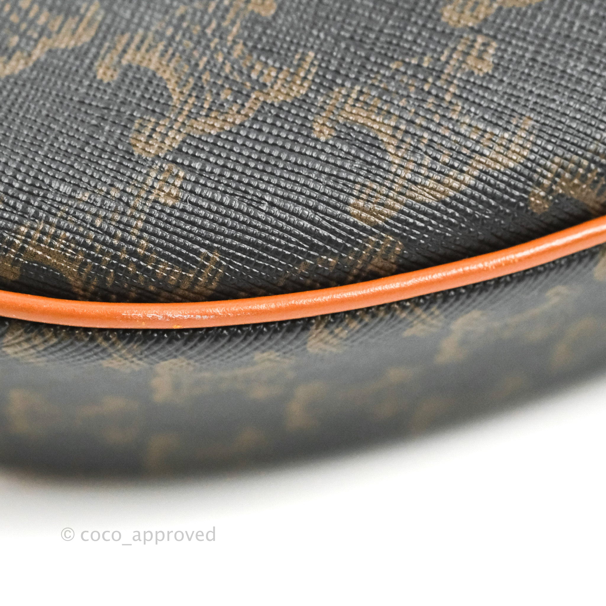 Celine Ava Bag in Triomphe Canvas & Calfskin Leather - Tan Crossbody Purse for Women | Everyday Luxury Handbag for Work, Travel & Date Night