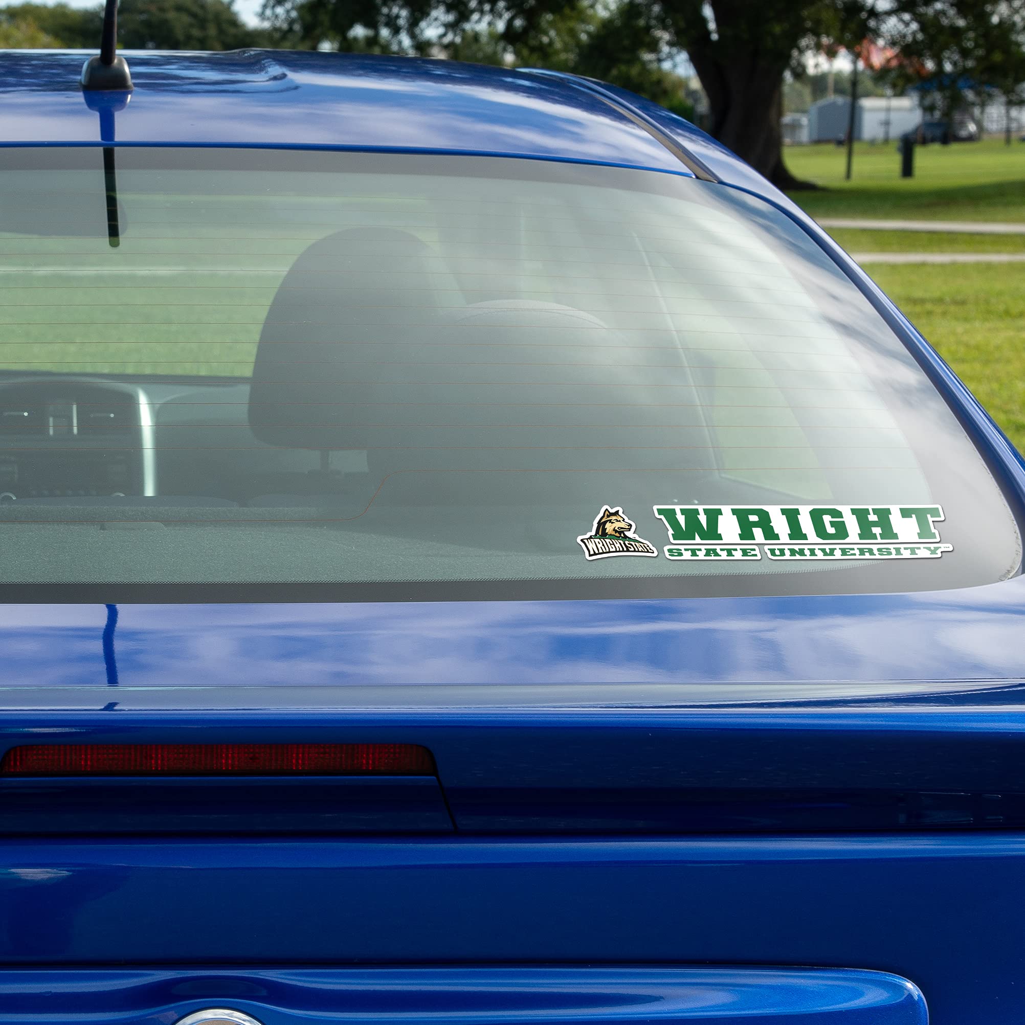 WSU Raiders Desert Cactus Vinyl Decal Sticker (8 Inch) - Wright State University Logo for Laptop, Water Bottle, Car, Scrapbook | Perfect for College Students, Alumni & Fans