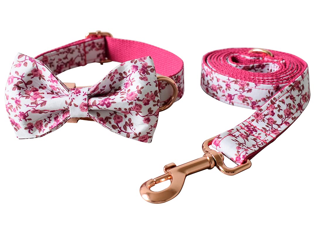 Custom Engraved Dog Collar with Name & Phone - S Pink for Small Pets - Perfect for Walks & ID Safety