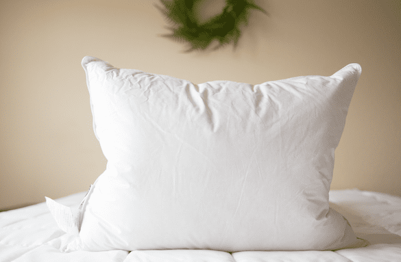Premium Pillowtex Luxury Core Down and Feather Pillow - 25% Feather/75% Down Blend for Ultimate Comfort - Perfect for Side Sleepers, Back Pain Relief & Hotel-Style Bedding