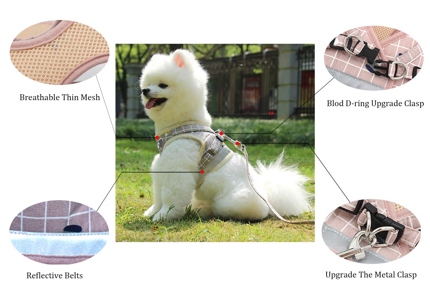 HELX Reflective Small Dog & Cat Harness with Leash - Adjustable Puppy Vest for Night Walks, Outdoor Adventures & Pet Safety