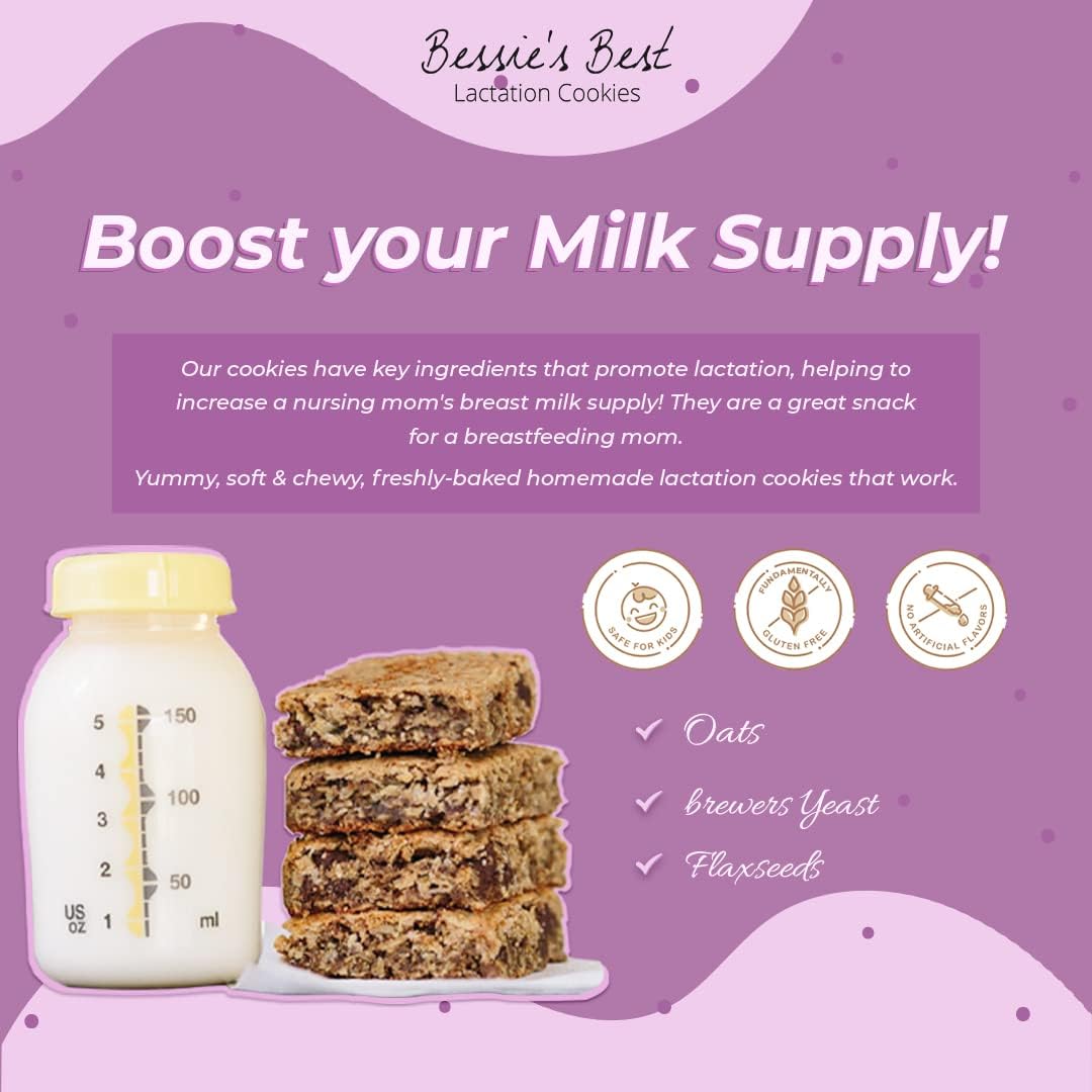 Bessie’s Lactation Cookies - Oatmeal Peanut Butter Chocolate Chip for Breastfeeding Moms | Milk Supply Boost Snacks