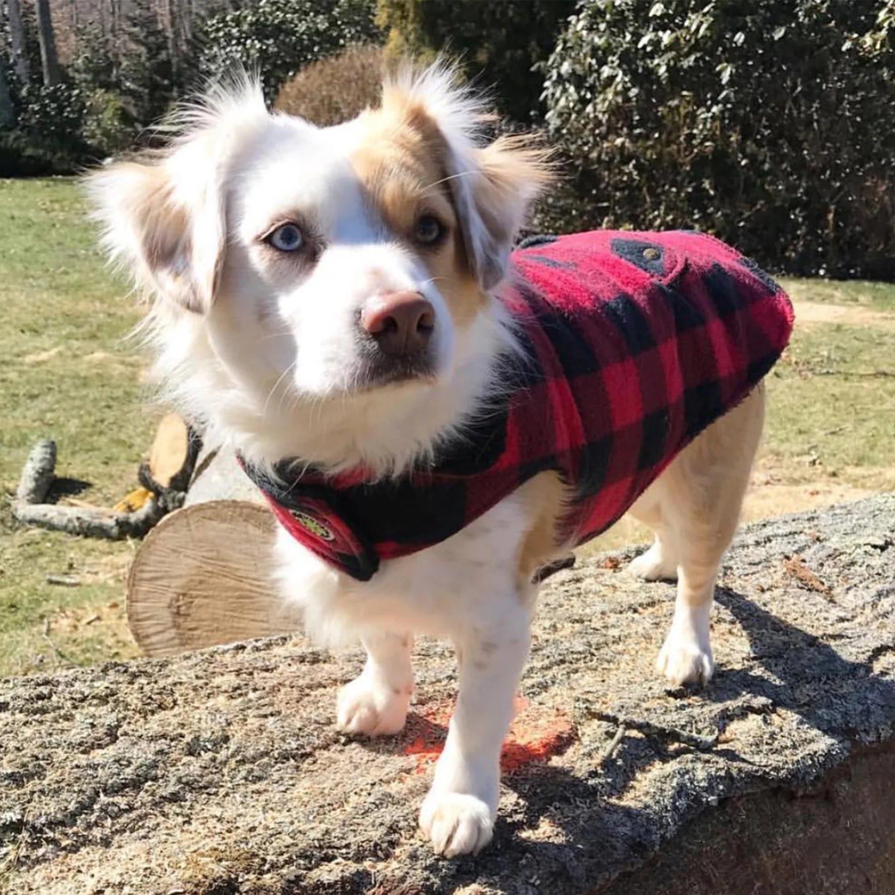 UpCountry Buffalo Check Fleece Coat for Women - Warm Plaid Winter Jacket with Pockets | Cozy Outdoor, Camping & Casual Wear