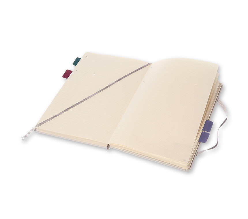 Premium Moleskine Professional Notebook - Large (5