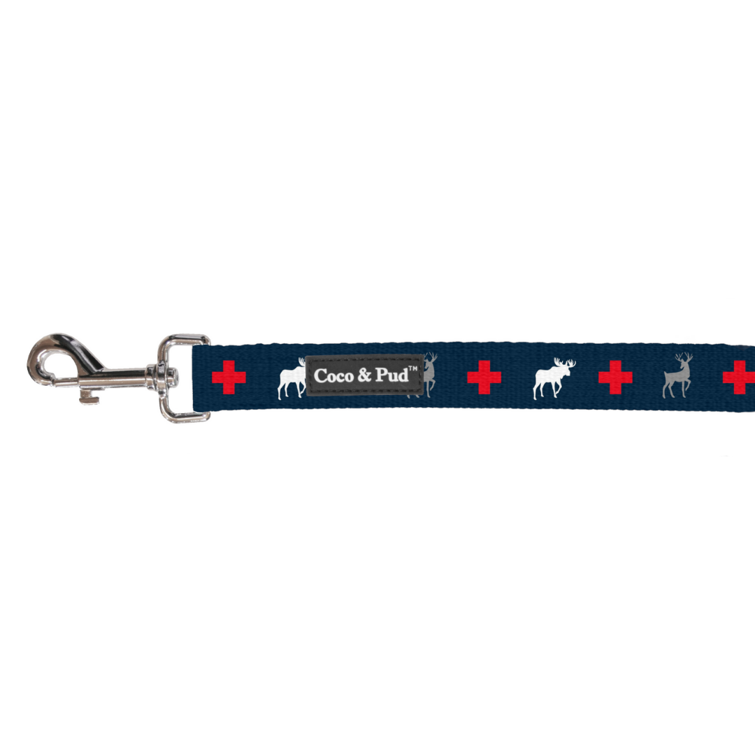Coco & Pud Adventure Cat Lead - Adjustable Cat Harness with Leash for Outdoor Walking, Training & Travel - Perfect for Small to Medium Cats - Durable & Comfortable Pet Gear for Park Adventures & Indoor Play