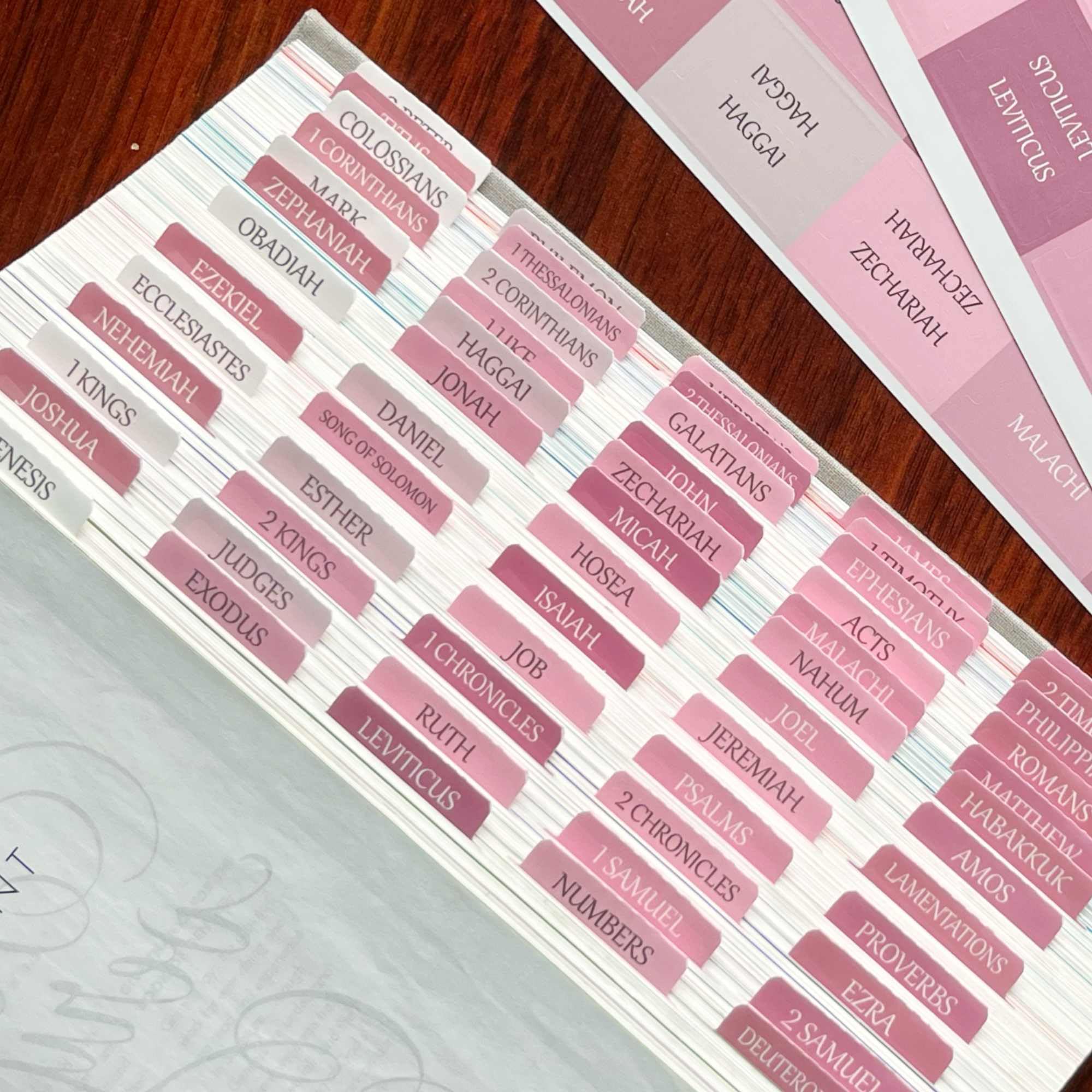 Laminated Bible Tabs - Large Print Repositionable Stickers for Easy Reading & Application | Perfect Gift for Men & Women (White/Pink) | Ideal for Bible Study, Church Services & Personal Devotion