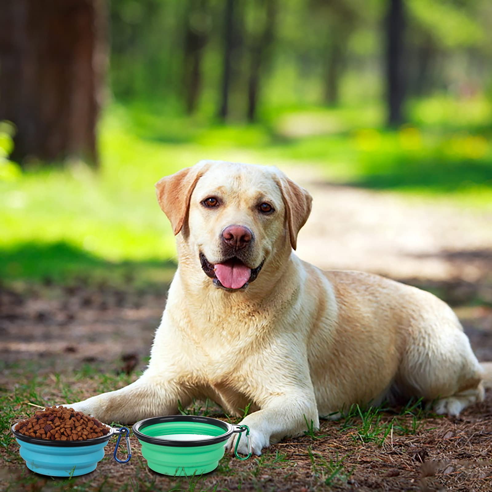 SLSON 2-Pack Collapsible Pet Bowls with Lids - Portable Foldable Dog & Cat Food and Water Dish for Travel, Walking, Camping, Hiking (Light Blue & Green, Small) - Perfect for Outdoor Adventures and Daily Use