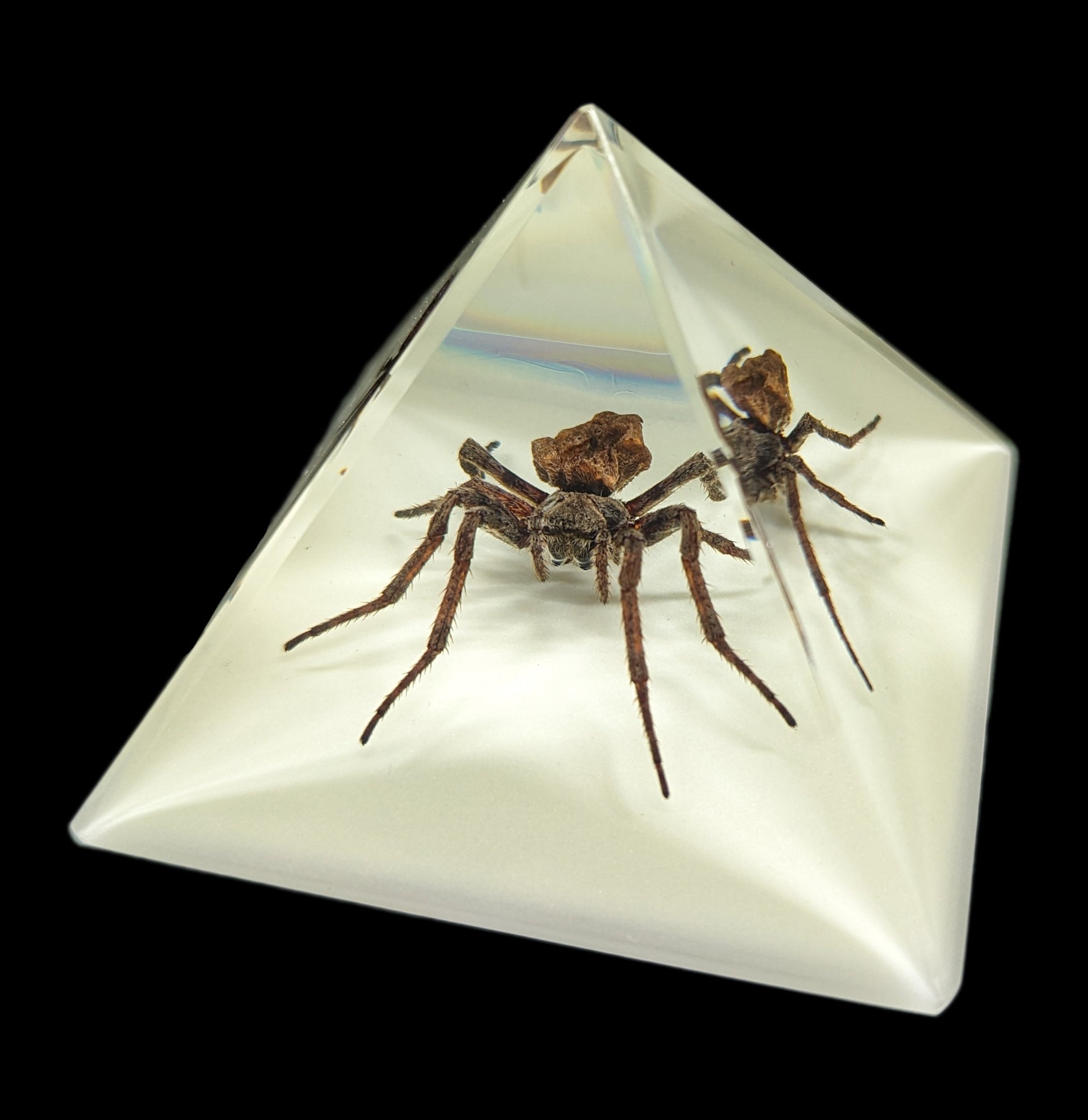 Glow in The Dark Spider Pyramid Decor - Halloween Party Decoration, Scary Home Decor for Spooky Nights & Themed Events