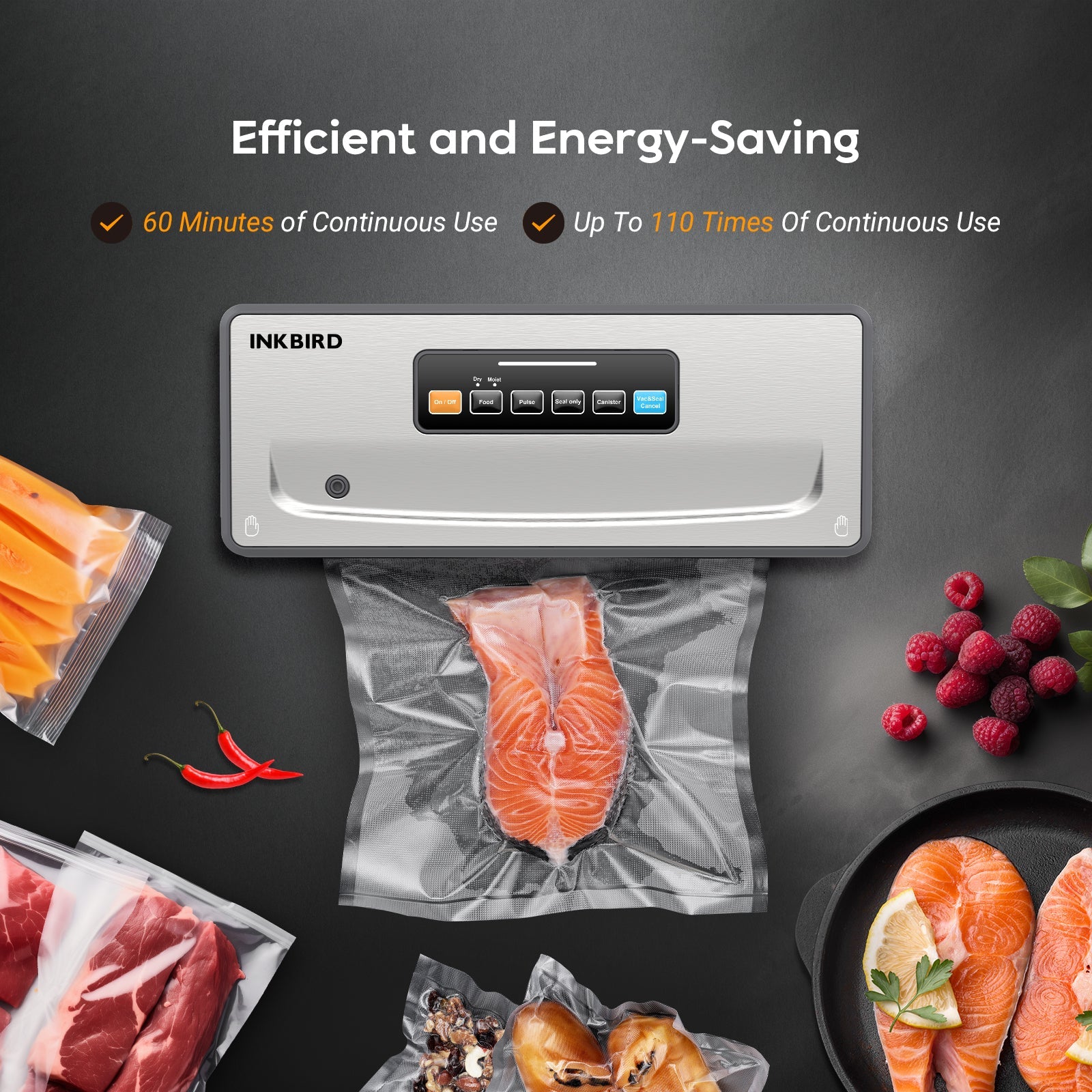 INK VS06 Vacuum Sealer Machine for Food Preservation - Compact & Powerful Home Kitchen Appliance for Sous Vide, Meal Prep, and Long-Term Food Storage