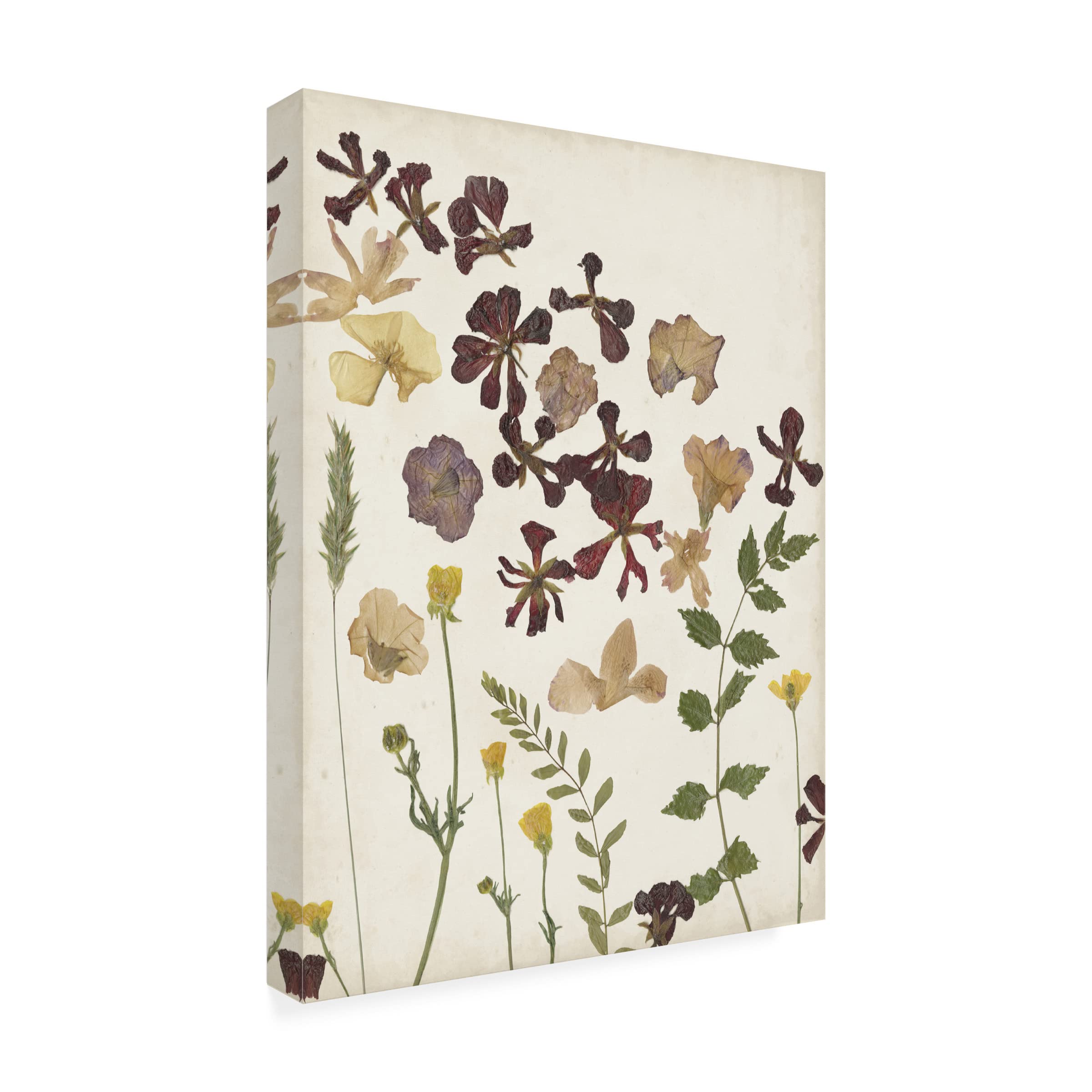 Pressed Flower Arrangement III Canvas Wall Art by Regina Moore - Handmade Botanical Floral Decor for Living Room, Bedroom & Office