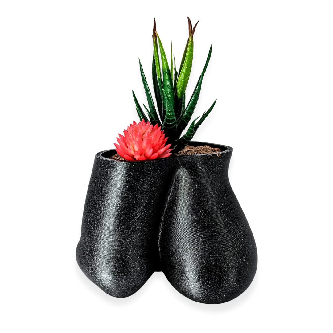 Sparkle Black Succulent Penis Planter Pot - Male Body Anatomy Planter with Balls - Unique Stylish Home & Office Decor for Succulents, Air Plants or Small Flowers - Funny Gift for Bachelor Parties, Adult Humor Gifts