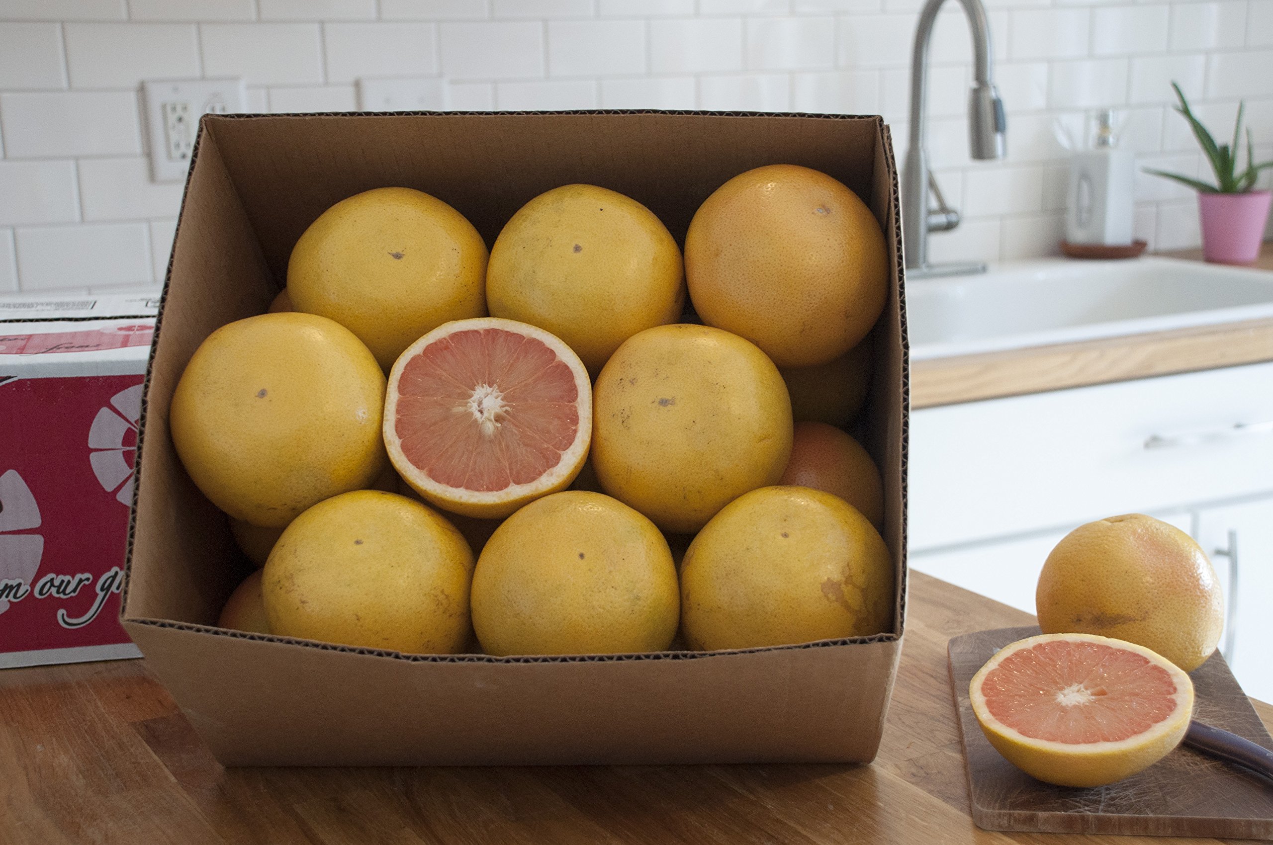 Fresh Florida Red Grapefruit - 16 Count, Sweet & Juicy Citrus Fruit for Breakfast, Juicing & Healthy Snacks | USDA Certified, Natural Vitamin C Source