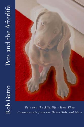 Pets and the Afterlife - Understanding Pet Loss & Spiritual Connection | Comfort for Grieving Pet Owners