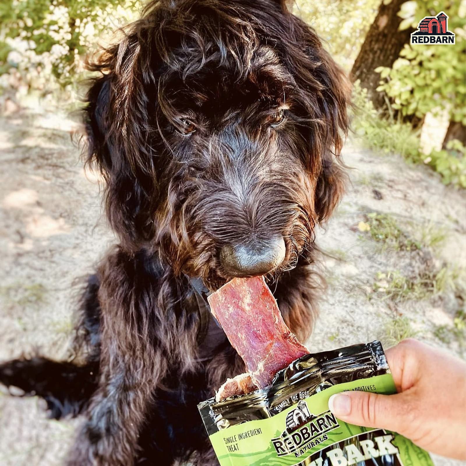 Redbarn Barky Bark 100% Natural Beef Jerky Dog Treats - Medium Size, 100 Count Pack - Perfect for Training, Rewards & Dental Health