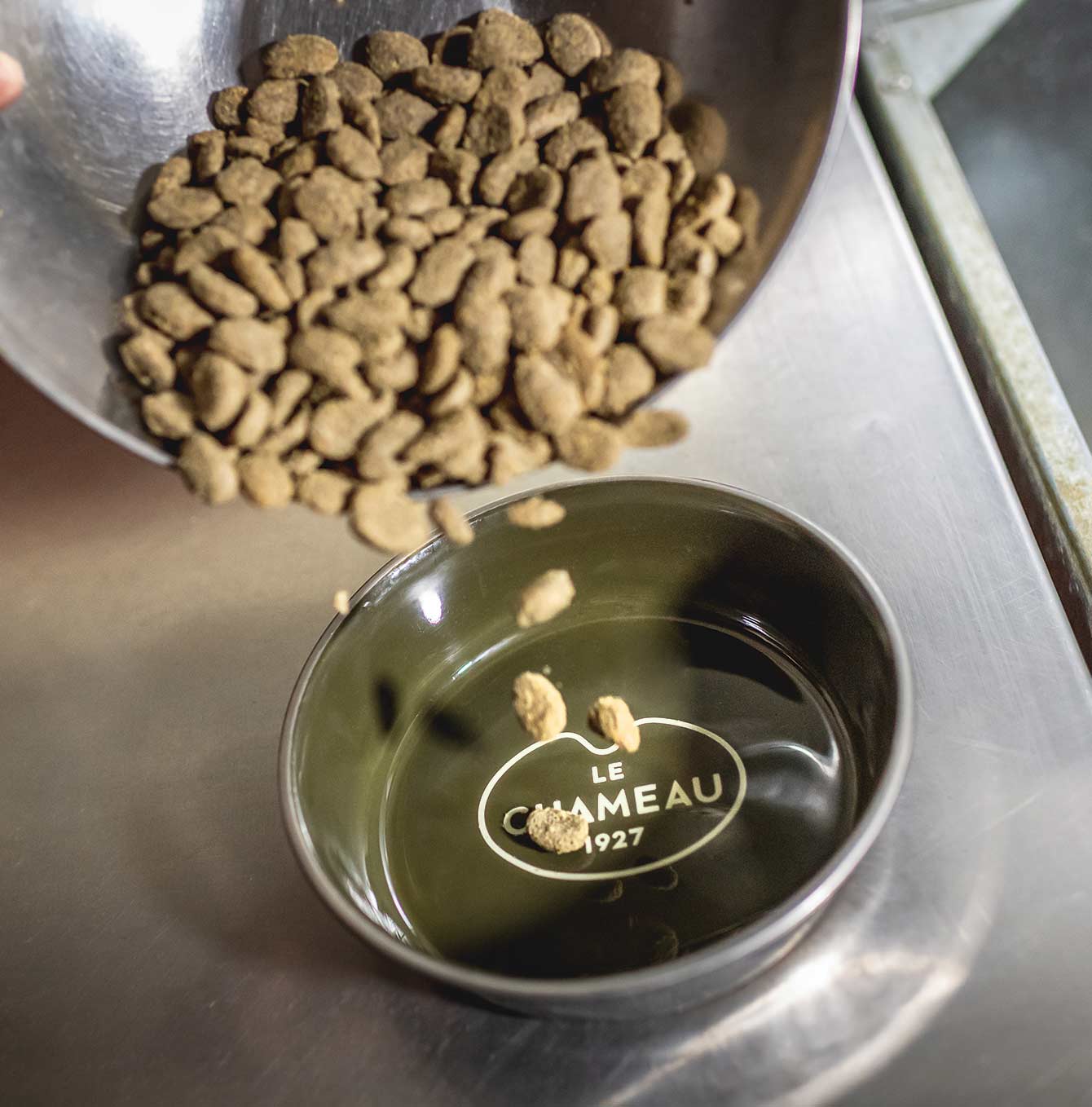 Premium Stainless Steel Dog Bowl - Non-Slip, Rust-Proof Pet Food & Water Dish for Large & Small Dogs - Perfect for Indoor, Outdoor, Travel & Camping Use