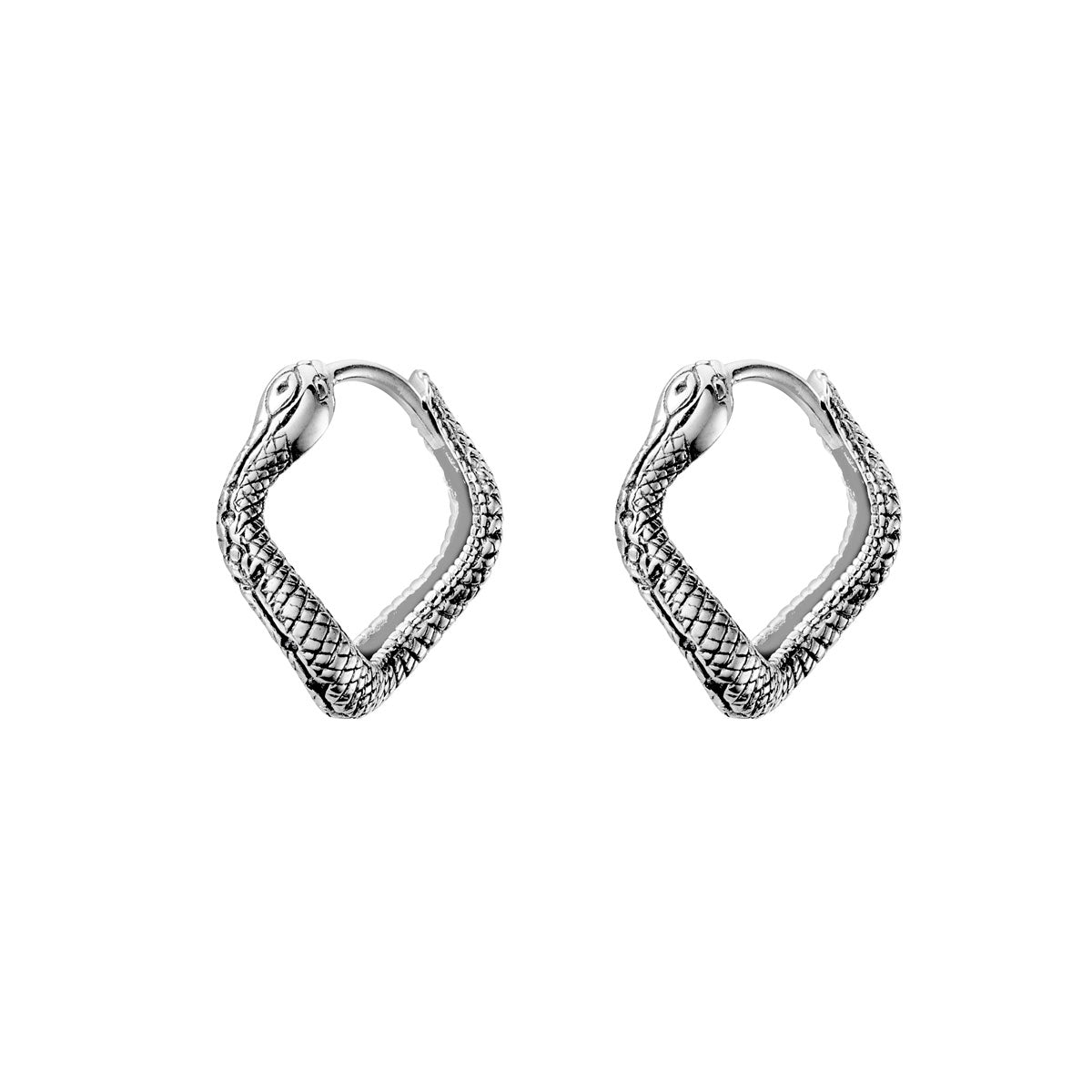 Mystic Serpent Huggie Hoop Earrings for Women - Hypoallergenic Stainless Steel Small Hoops - Perfect for Everyday Wear, Gifts & Boho Style