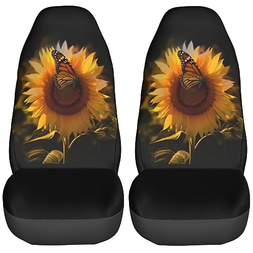Butterfly And Sunflower She Is Sunshine
