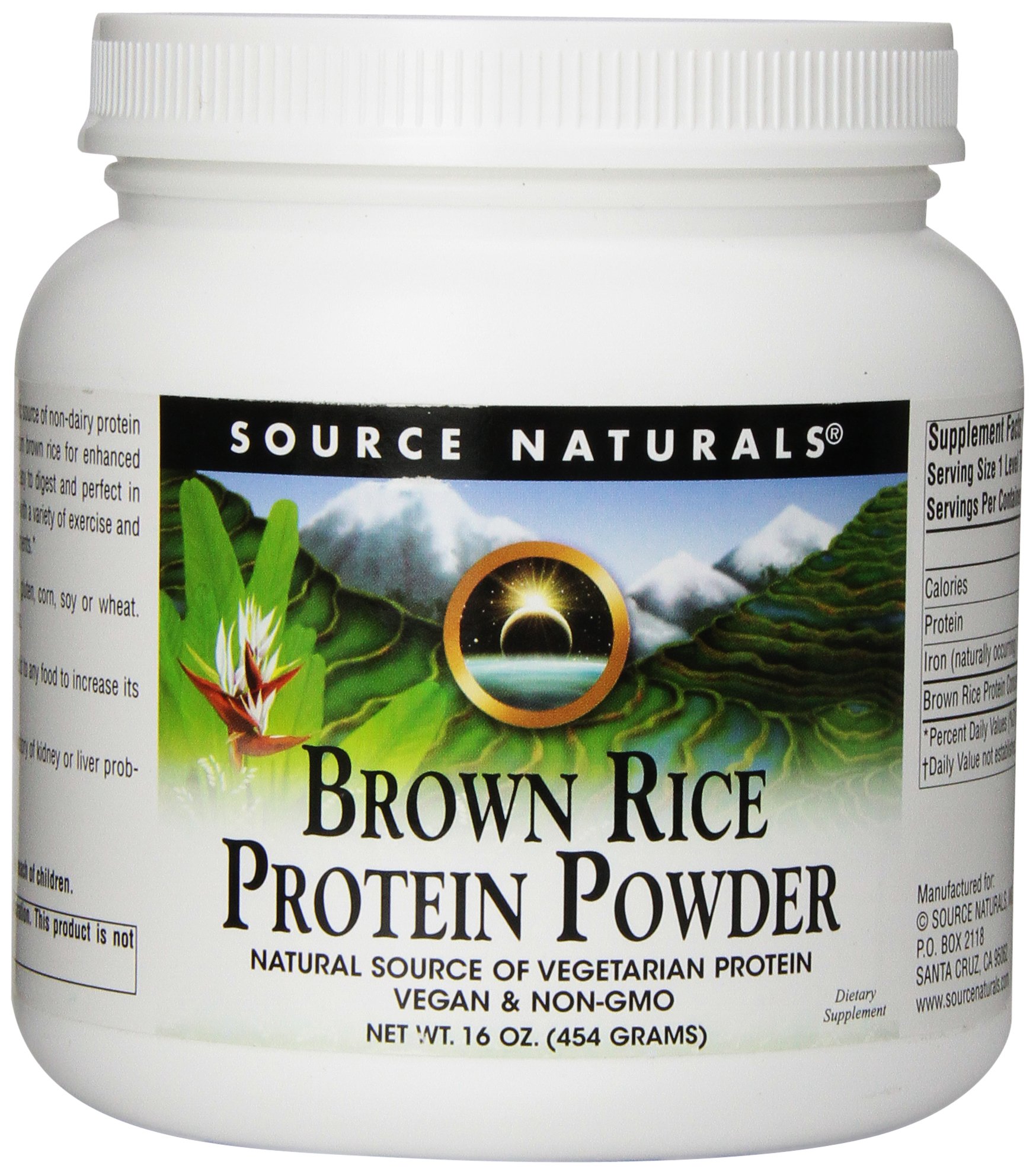 Source Naturals Organic Brown Rice Protein Powder - Vegan, Non-GMO, Gluten-Free (16 oz) for Smoothies, Baking & Post-Workout Recovery