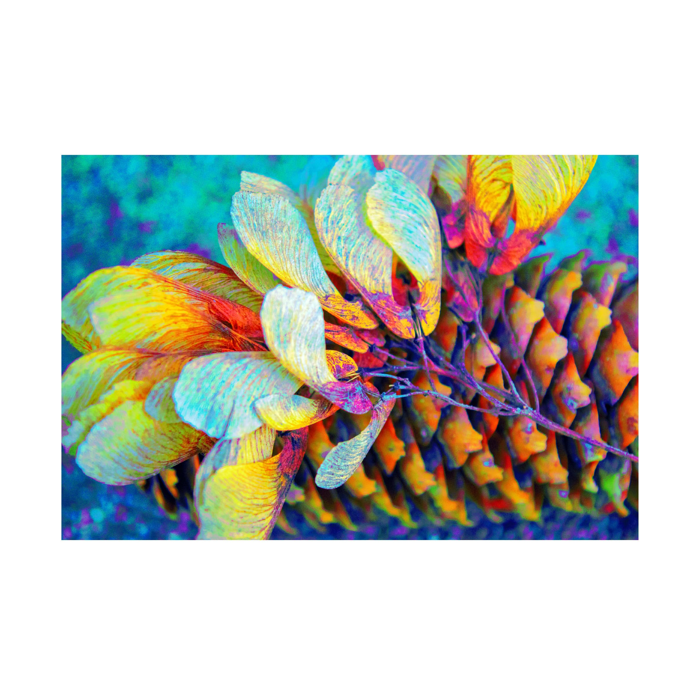 Anita Vincze 'Nature in Rainbow Colors 08' Canvas Wall Art Print - Vibrant Landscape Painting for Living Room, Bedroom & Office Decor
