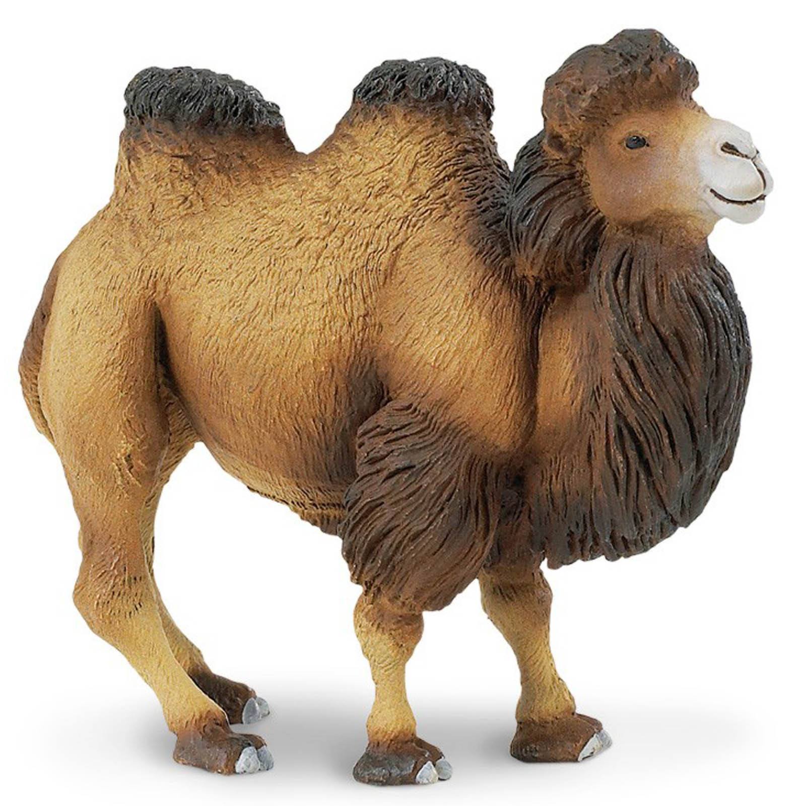 Bactrian Camel Wildlife Figure - Realistic Safari Ltd Toy Animal for Kids - Perfect for Educational Play, Desert Habitat Dioramas & Wildlife Collections