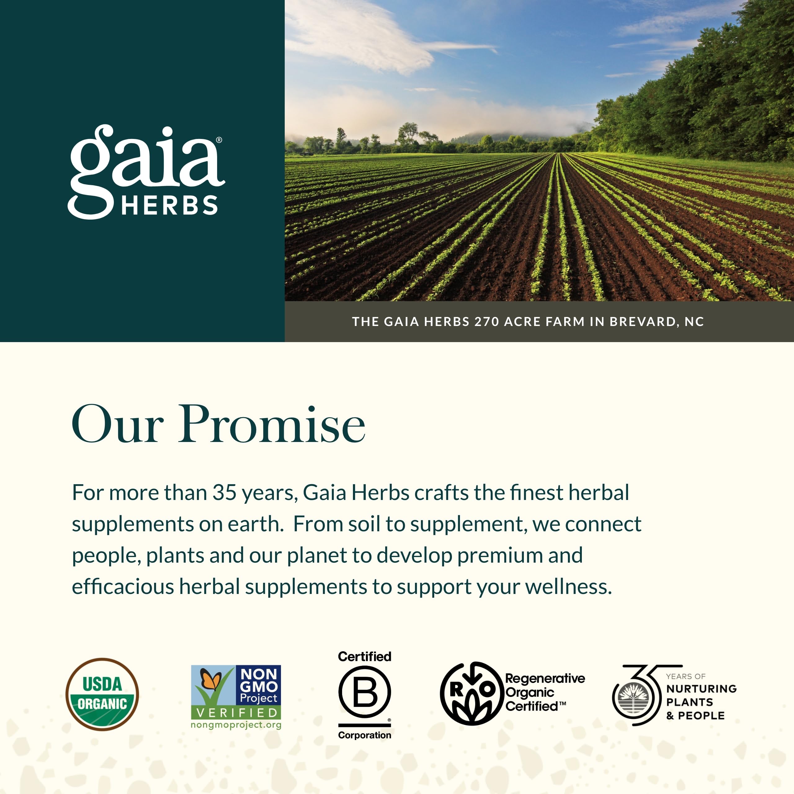 Gaia Herbs Astragalus Supreme - Immune & Antioxidant Support Supplement with Astragalus Root, Schisandra Berry & Ligustrum - 120 Vegan Liquid Phyto-Capsules (30-Day Supply) - Boost Immunity & Energy for Busy Professionals & Active Lifestyles