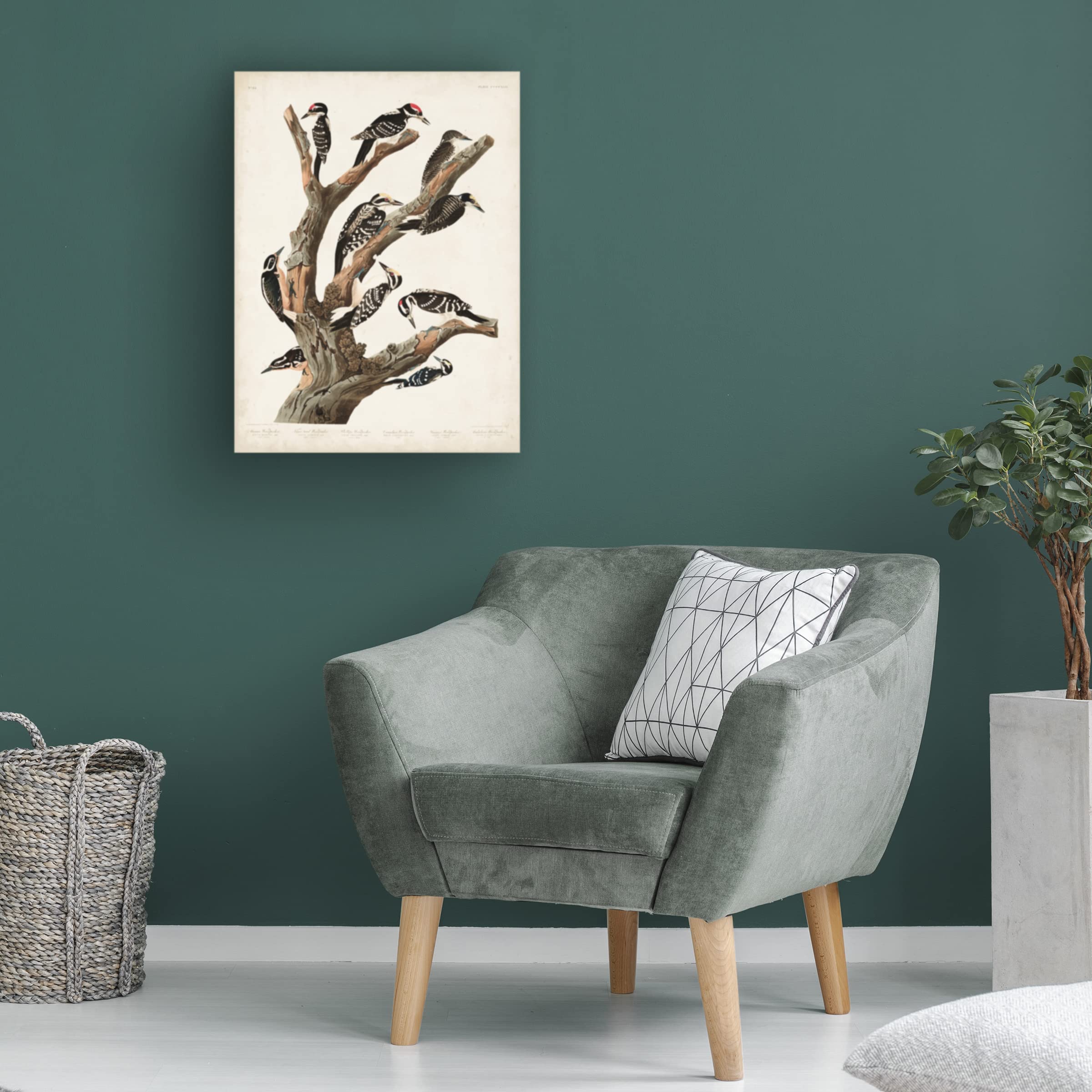 Trademark Fine Art 'Marias Woodpecker' Canvas Print by John James Audubon - 24x32 Inch Nature Bird Wall Art for Living Room, Office & Home Decor