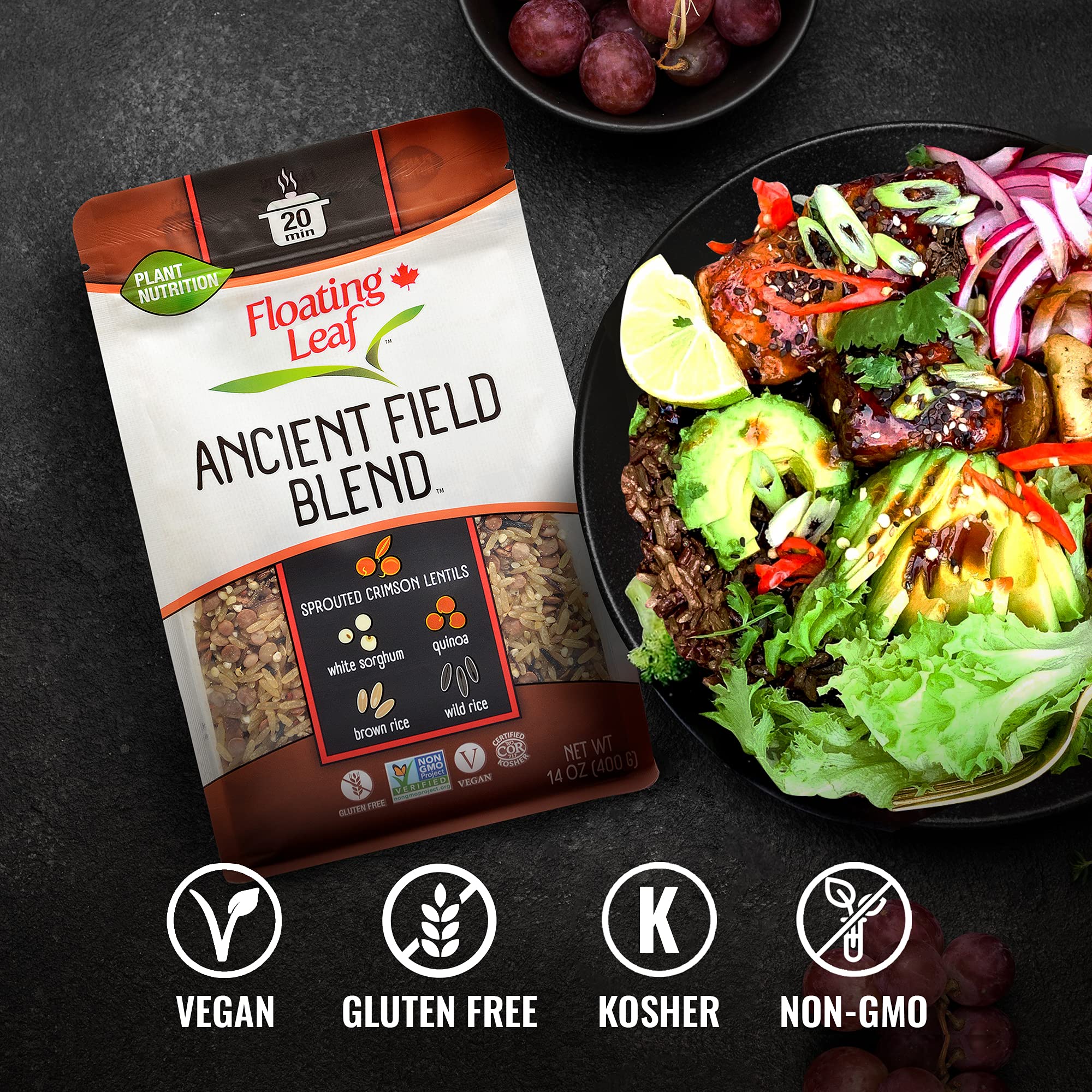 3 Packs x 14oz Ancient Field Blend Wild Rice Mix with Sprouted Crimson Lentils, White Sorghum, Quinoa & Brown Rice | Gluten-Free, Non-GMO, Kosher, Vegan | Perfect for Salads, Buddha Bowls & Healthy Meal Prep
