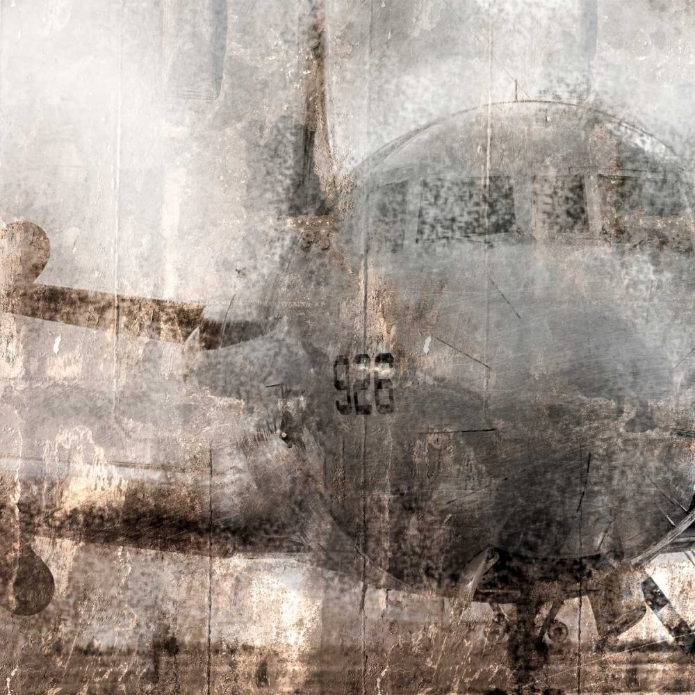 Oxidized Aircraft Fine Art Print by Kimberly Allen - 31x31 Inch Nature Wall Decor for Home & Office Framing | Modern & Vintage Aesthetic