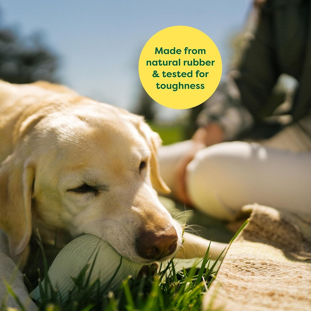 Natural Rubber Dog Chew Toy - Durable & Safe for Aggressive Chewers - Perfect for Teething Puppies & Small to Large Dogs - Indoor & Outdoor Play