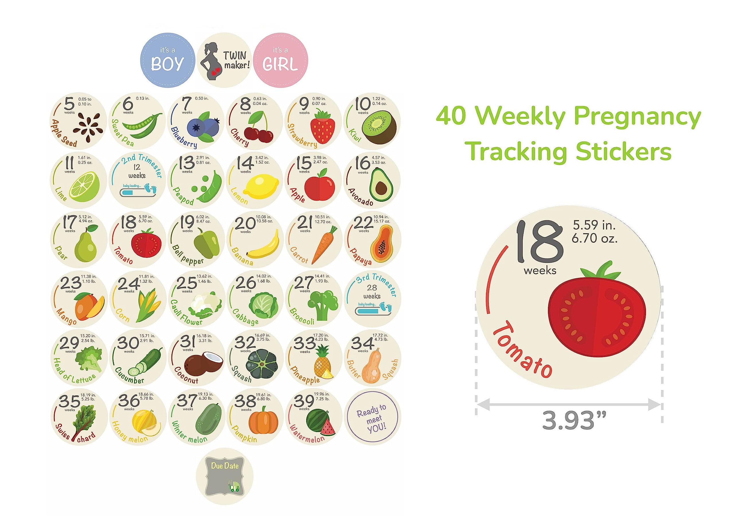 40 Pack Weekly Pregnancy Bump Stickers - Baby Growth Tracking Stickers from Week 5 to 40 with 4 Bonus Stickers - 3.93 Inch Fruit-Themed Photo Props for Maternity Belly Photos - Perfect for Pregnancy Journals, Baby Showers & Gender Reveals (Off White)