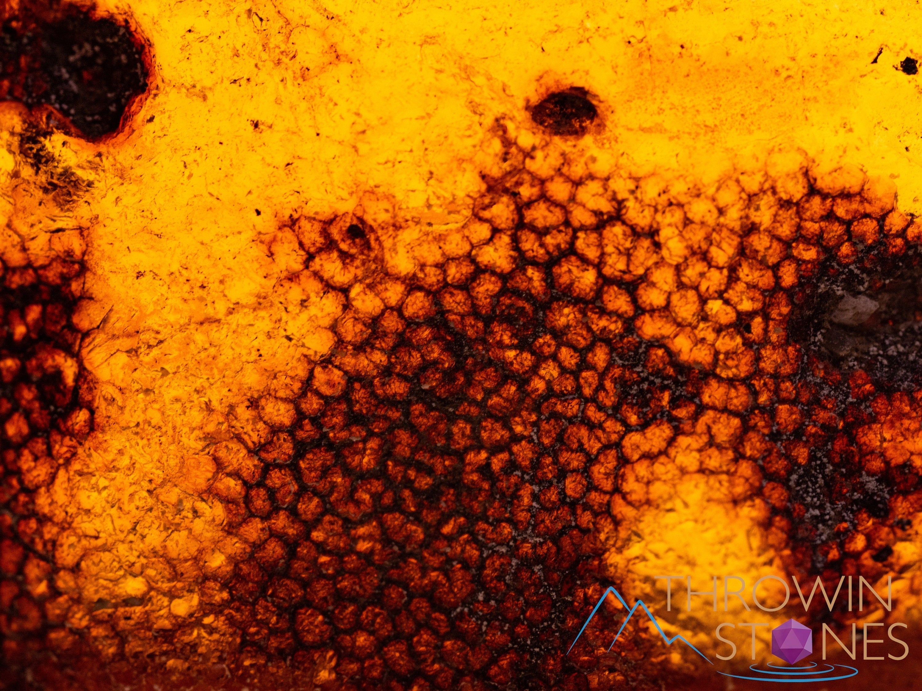 AMBER Stone with Real Insect Fossil - Polished Tumbled Crystals for Healing & Collection - Perfect for Jewelry Making, Meditation & Home Decor