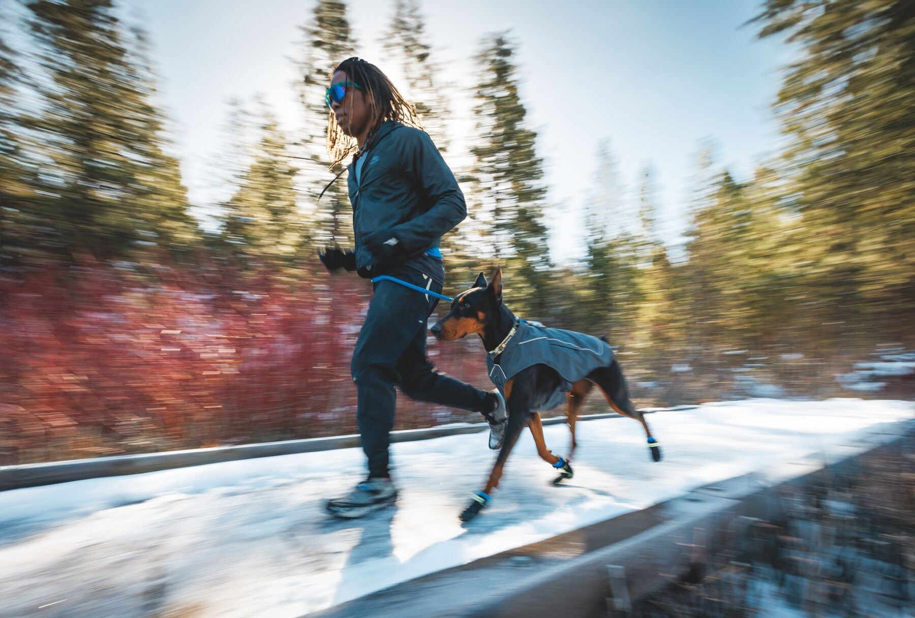 Ruffwear Front Range® Dog Harness with Wildflower Pattern - Adjustable, Reflective & Padded for Hiking, Running & Outdoor Adventures