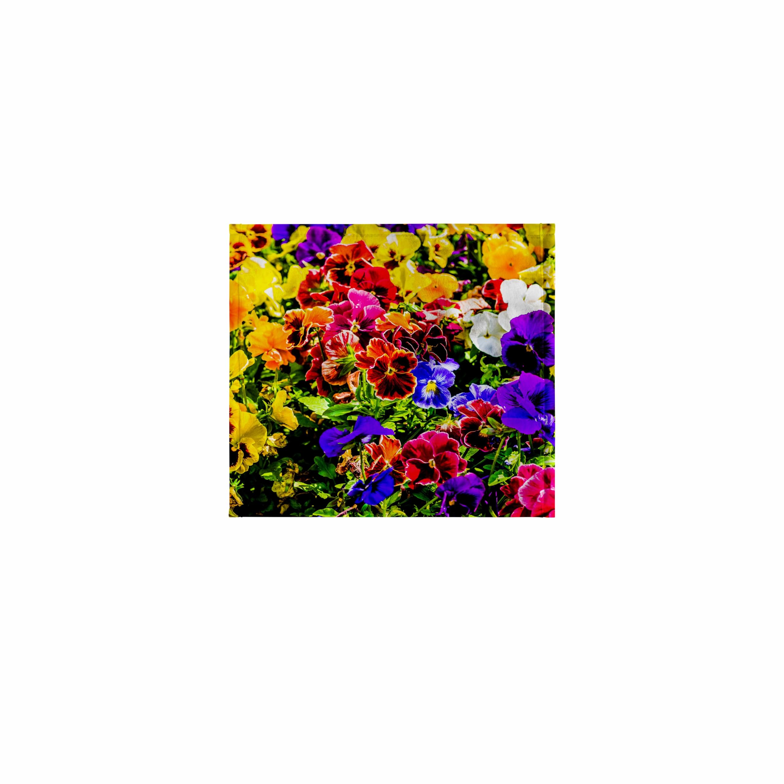 3dRose 11x12 Inch Soft Wash Cloth for Face & Body - Colorful Viola Tricolor Pansy Flowers Design by Alexis Photography | Bath, Spa & Skincare Essential
